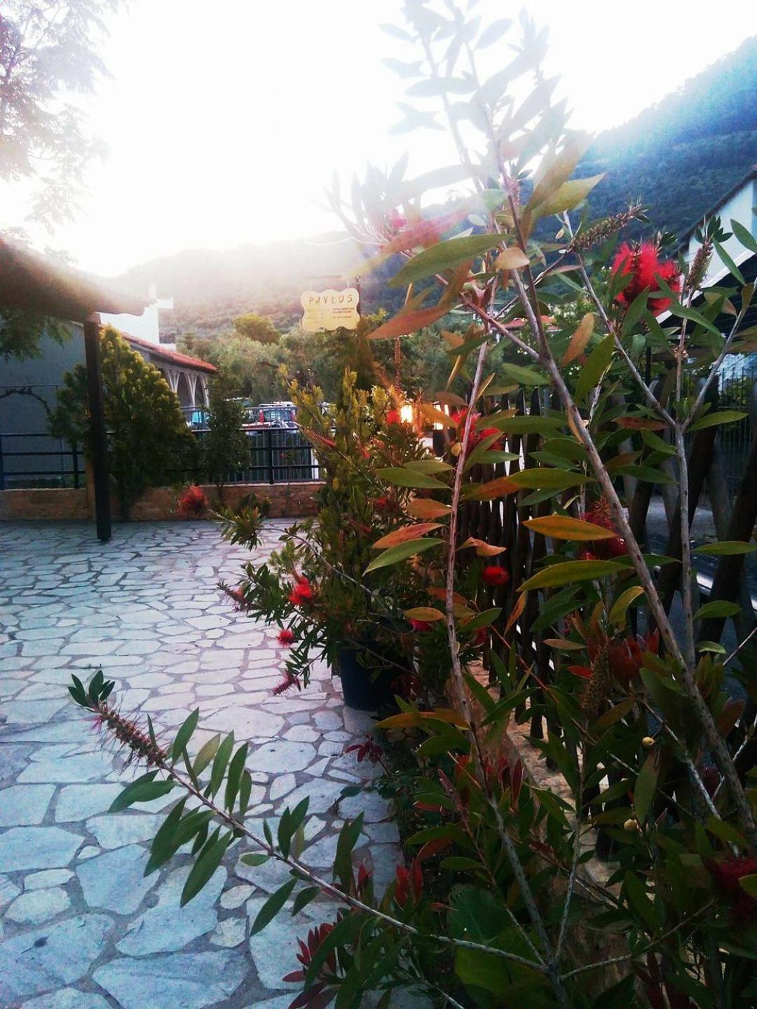 Pavlos Apartment Chrysi Ammoudia